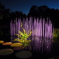 Event-goers had the chance to stroll through the Botanic Gardens and savor the beauty of Dale Chihuly's artistic creations.