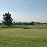 A Lone Tree Golf Green_0074
