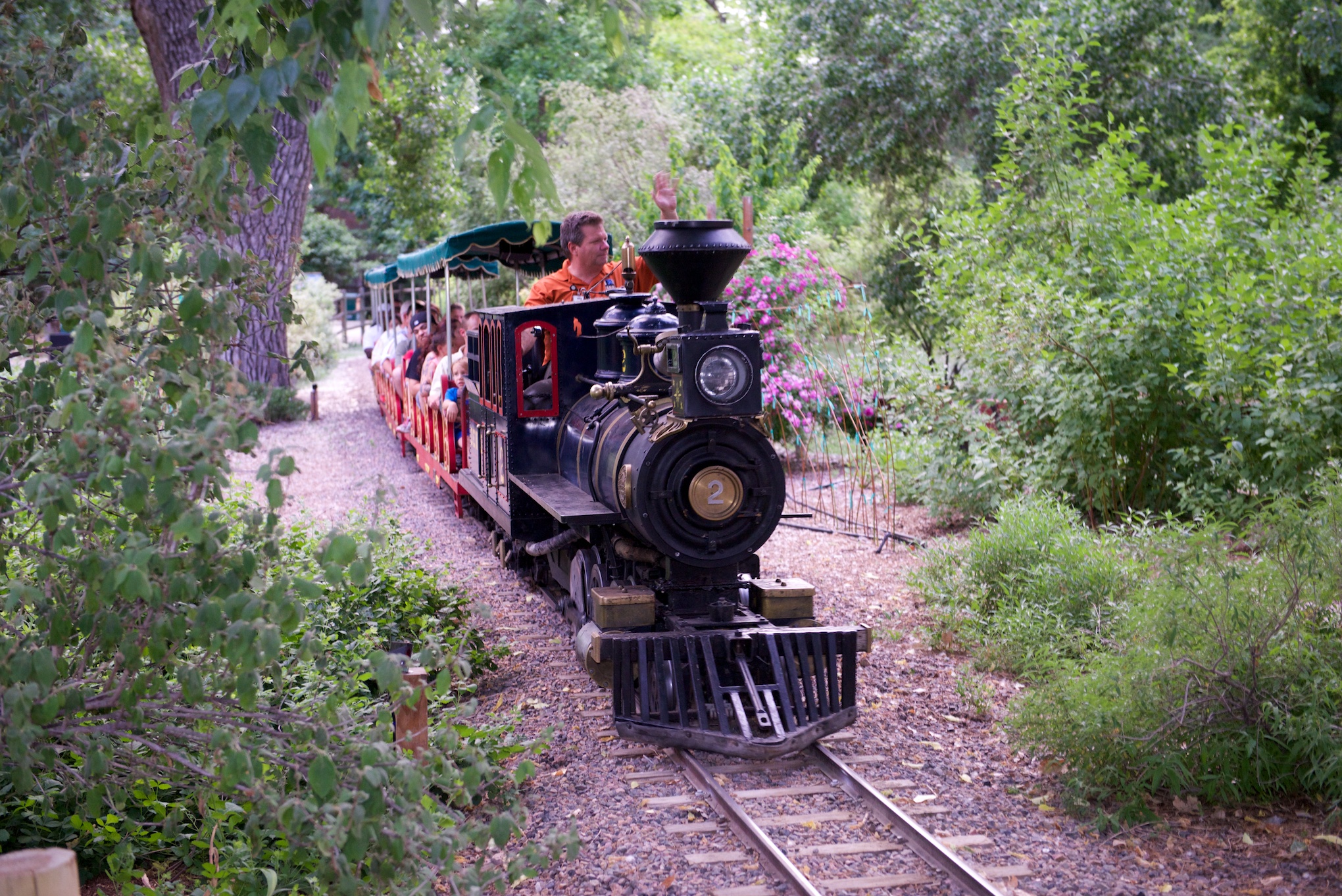 The zoo train