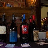 Gateway Womens Shelter Around the World in 80 Wines (5 of 46)
