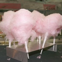 Cotton Candy_3605