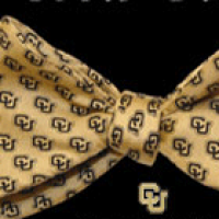 cropped bow tie