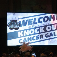Knock Out Sign_2186