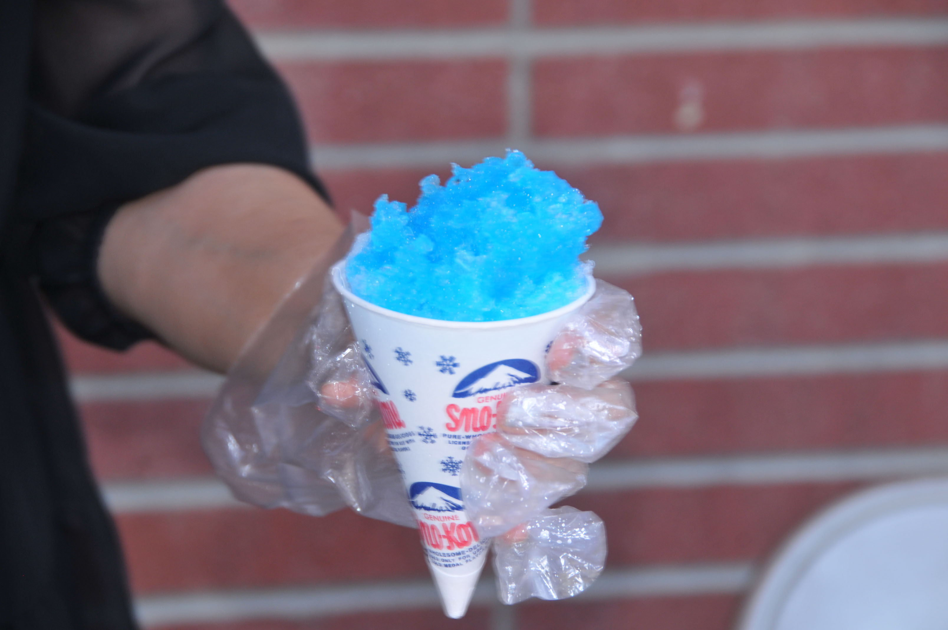 Everything from cotton candy to snow cones were available