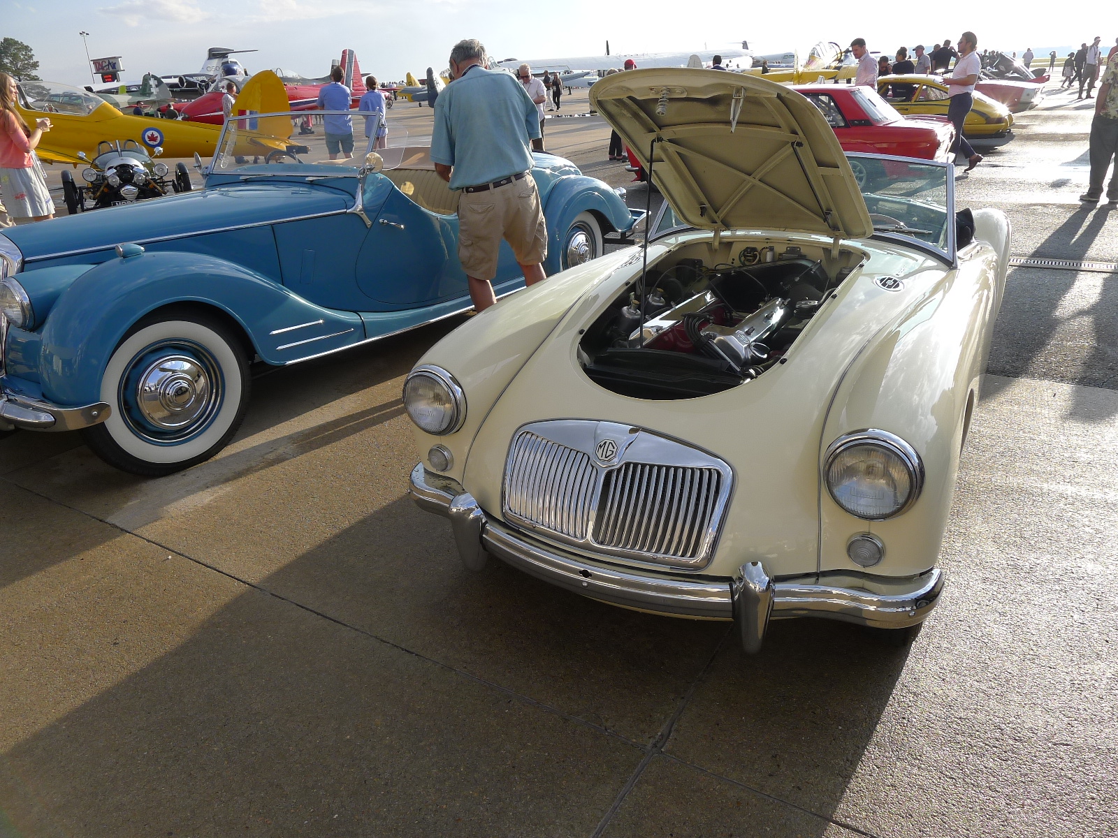 Automobile heaven for car aficionados