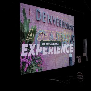 Sensory Experience.jpg