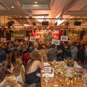 Hands in the air in support of education. Cathy Miller photo.